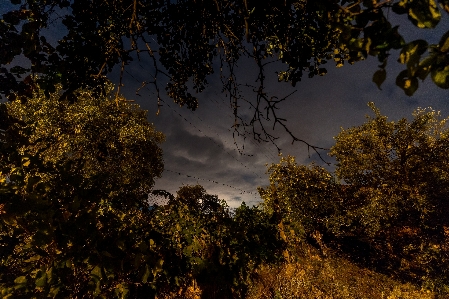 フェアリーテイル
 魔法 夜 空 写真