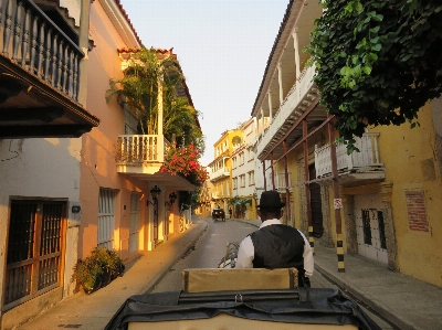 Natural neighbourhood street town Photo