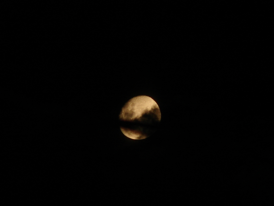 Luna nero natura fotografia