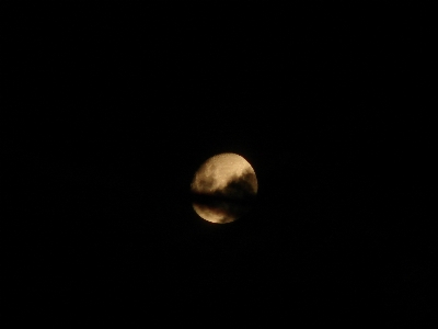 Foto Luna nero natura fotografia