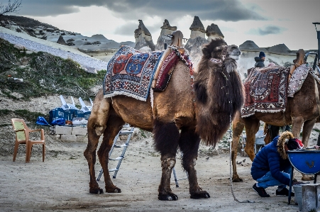 Foto Anatolia
 kuno asia cappadoccia
