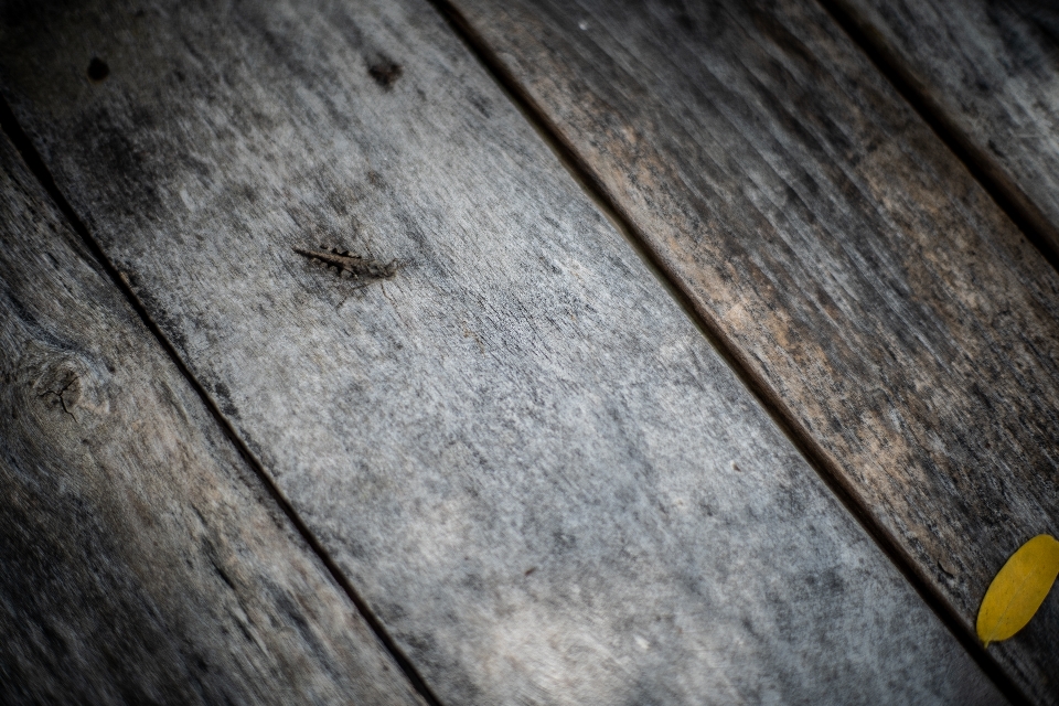 Abstract background of wood beautiful