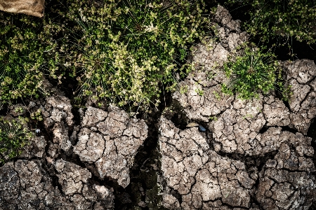 Agriculture abandoned abstract arid Photo