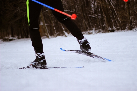 Snow winter skiing white Photo