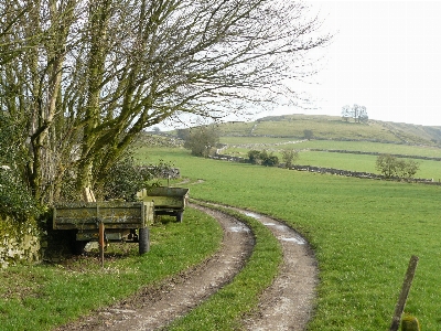 Foto Azienda agricola campi paesaggio naturale
 pascolo
