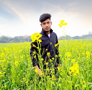 Foto Adobe photoshop
 orang-orang di alam
 rapeseed tanaman sawi
