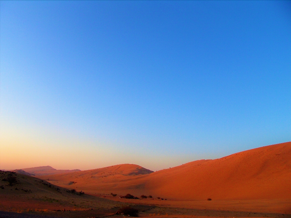 Desert sand plant land