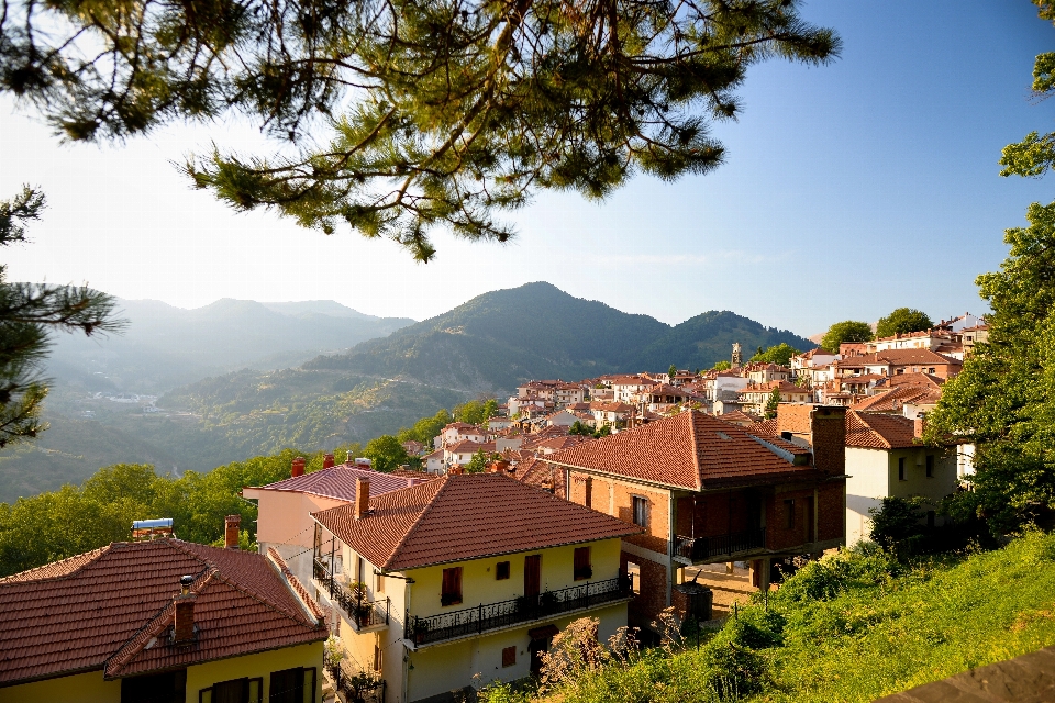 Albero villaggio di montagna
 stazione collina
 città