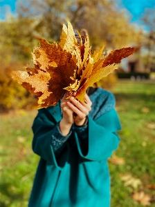 Woman people in nature leaf yellow Photo