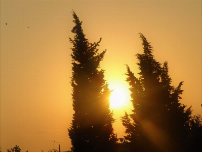 Foto Sabá
 sol nascer do céu