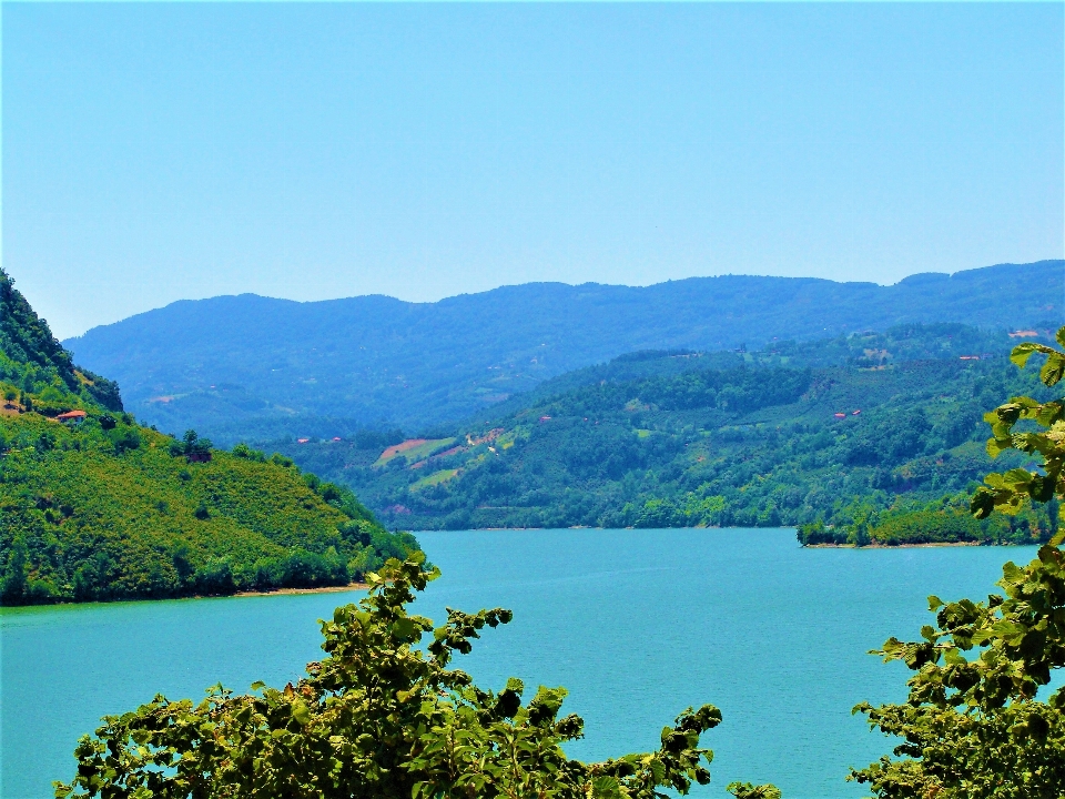 Dam lake landscape nature