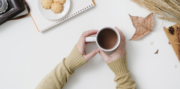 Tea cookie food hand Photo