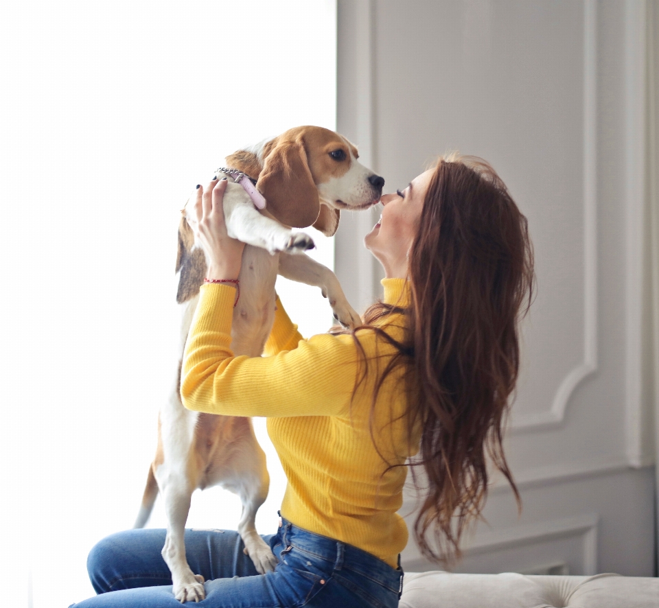 女性 犬 イヌ科
 伴侶犬
