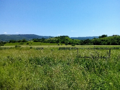 Natur gras himmel sommer Foto