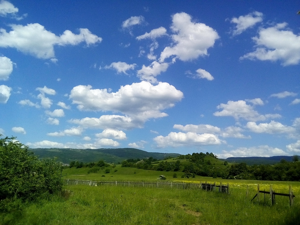 Sky grass summer clouds