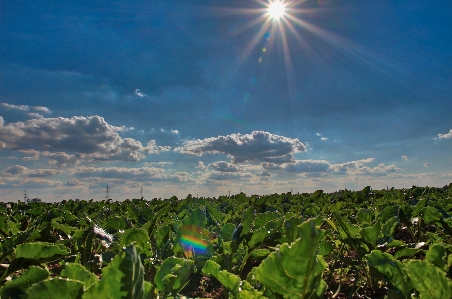 Hdr day clouds sun Photo