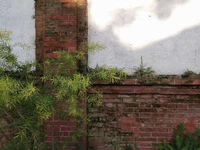 Dusk brickwork brick wall Photo