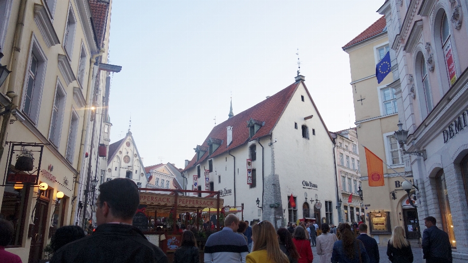 Tallin
 ciudad gente multitud