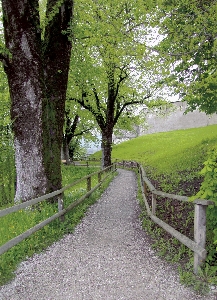 Hike road railing hill Photo