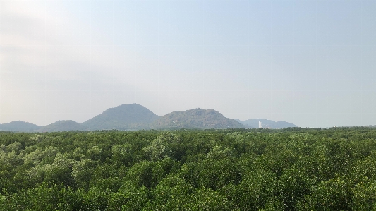 Mountain sky many trees tree Photo