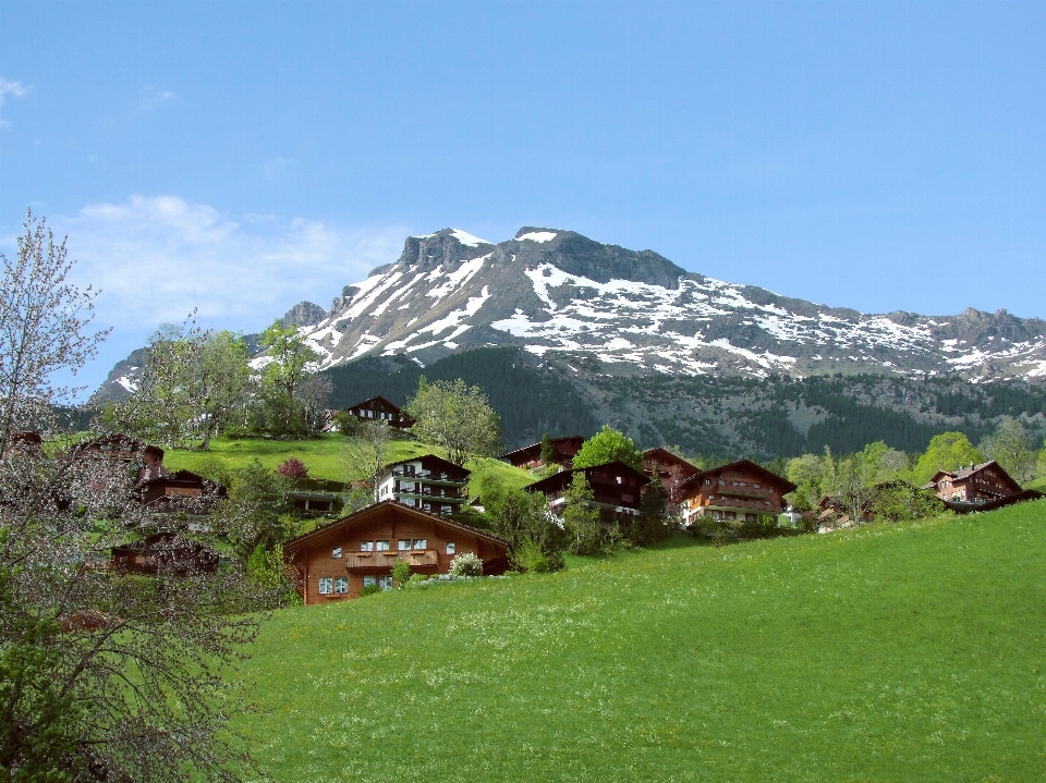 Rock berg gipfel
 schneebedeckt