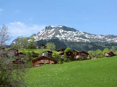 Rock mountain peak snowy Photo