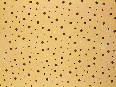 Perforated tree sheet hollow technical Photo