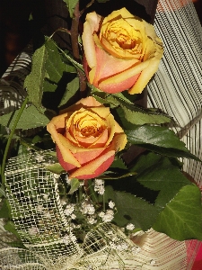 Flowers bunch orange ornate Photo