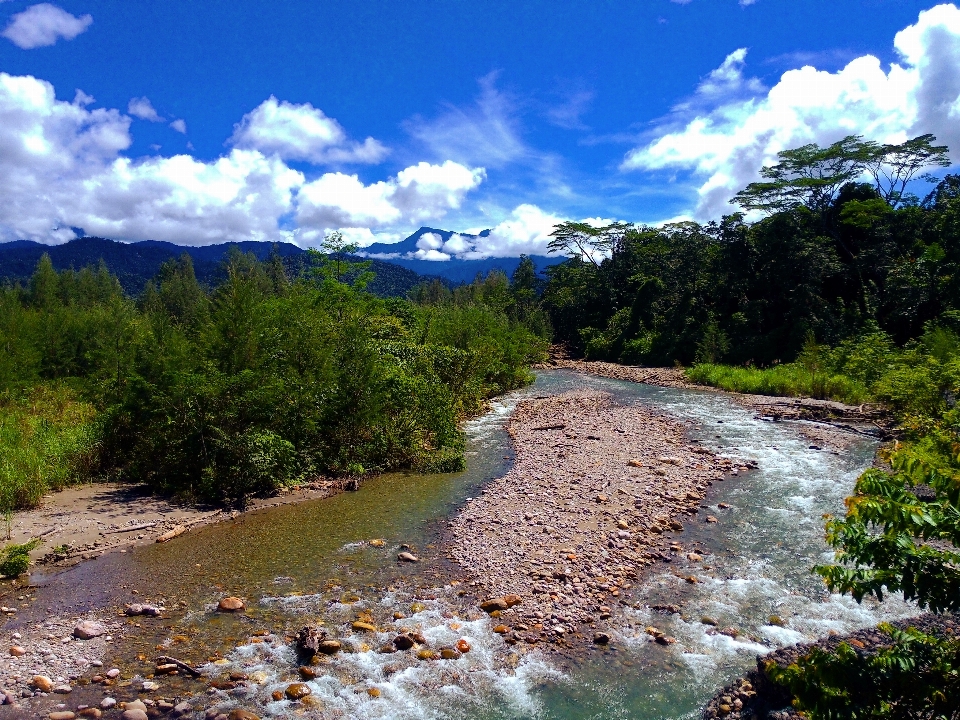 Sungai papua sumber air
 badan