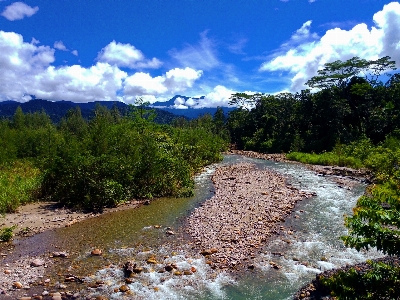 River papua water resources body of Photo