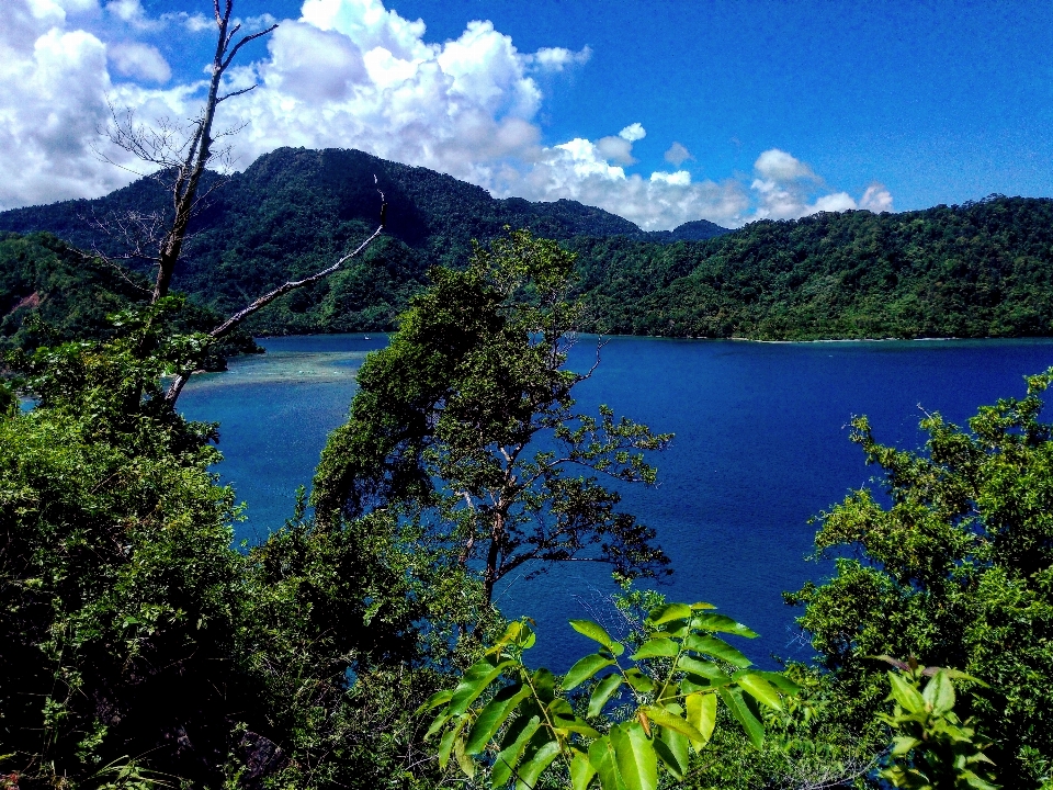 Estuary sea body of water nature