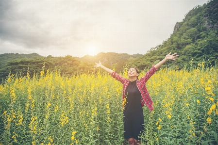 Freedom wellness field yellow Photo