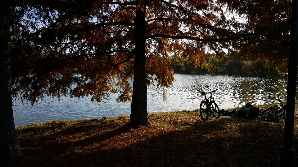 Park afternoon autumn peaceful