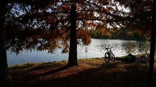 Park afternoon autumn peaceful Photo