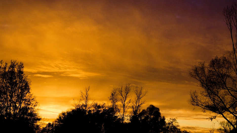 Evening sky cloud nature