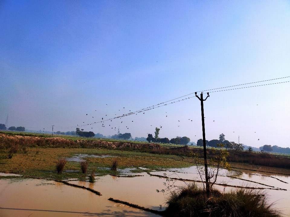 Vögel himmel freileitung
 wasser