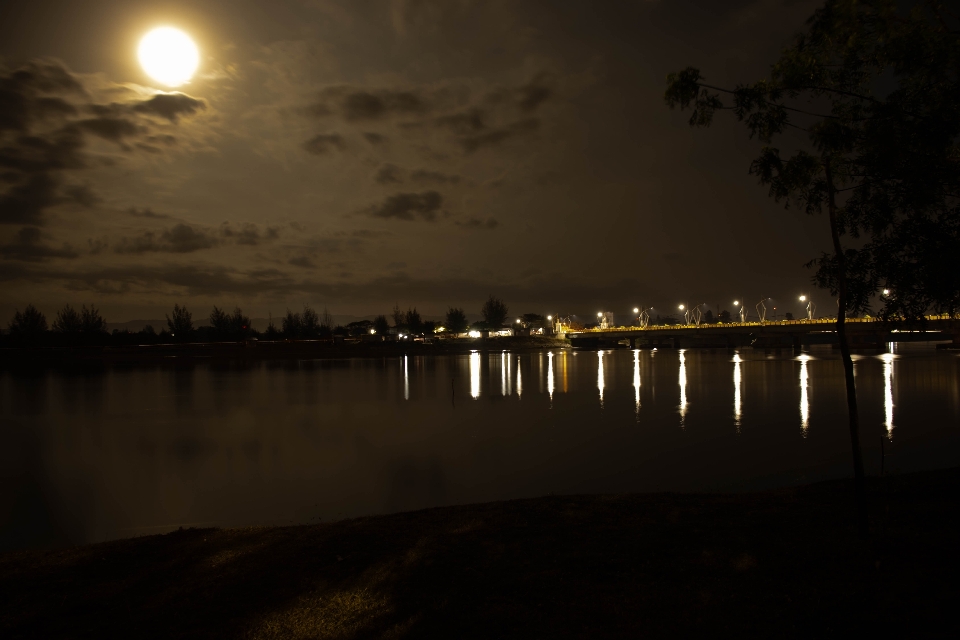 Río puente luces de la calle
 noche