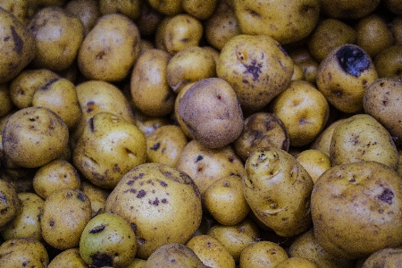 Zdjęcie Owoc warzywa żywność naturalna
 lokalne jedzenie
