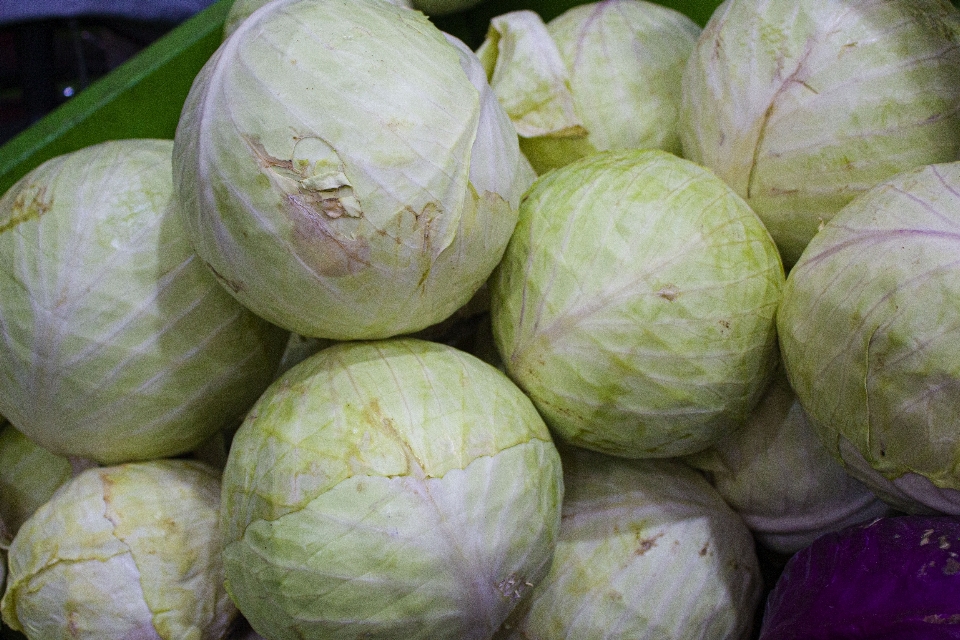 水果 蔬菜 食物 卷心菜