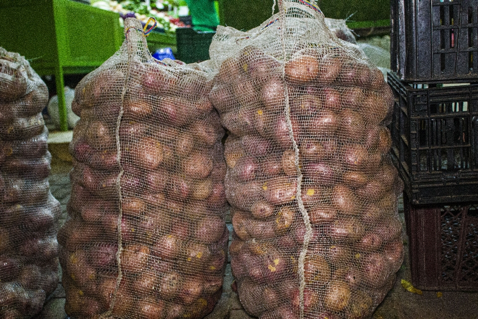 Fruta vegetais vegetal carne curada com sal
