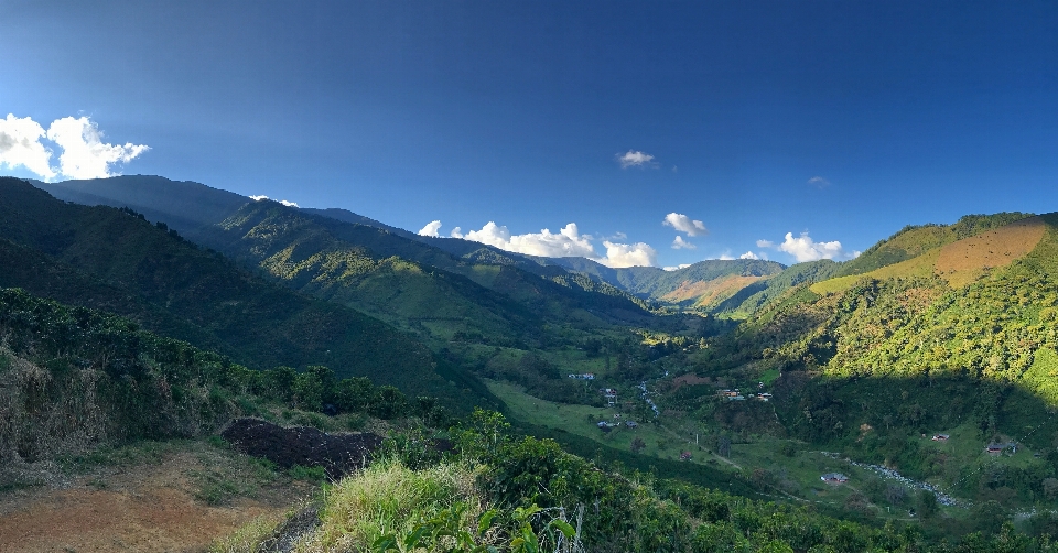 Montañas colombiana
 nacional parque