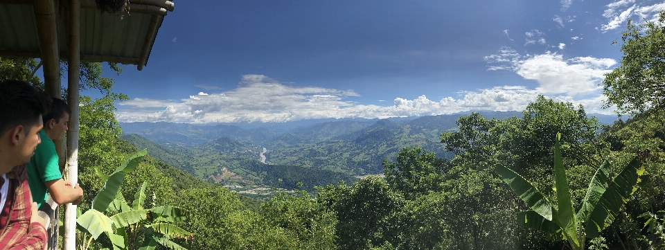 コロンビア 山 コーヒー 農場