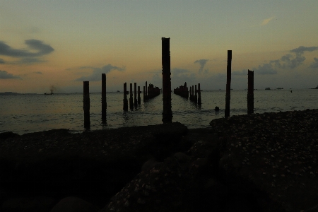 Photo Bois plage mer coucher de soleil