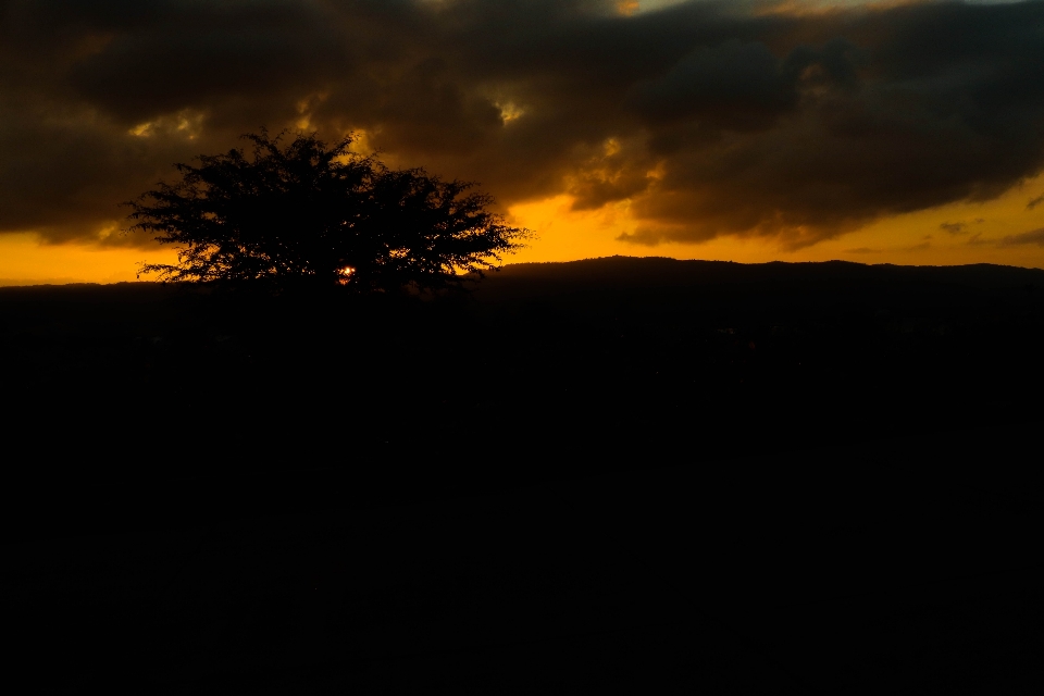 Trees clouds sky sunset