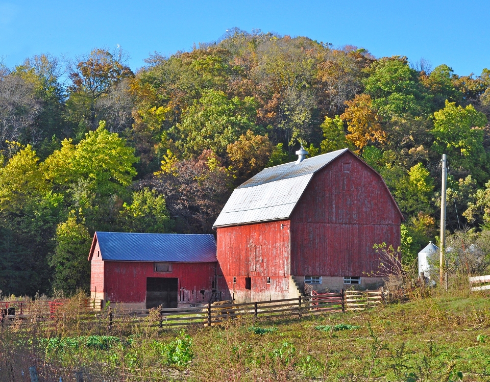 Wisconsin automne super rivière