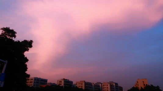 Scenery sky cloud pink Photo