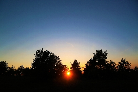 Sunset evening nature landscape Photo