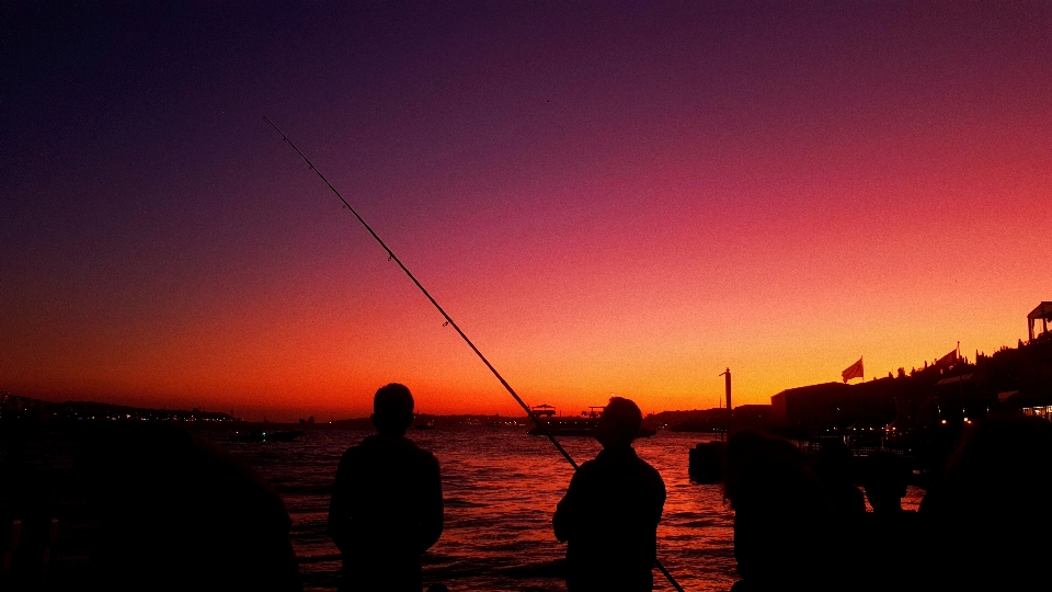 Vista pez pesca cielo