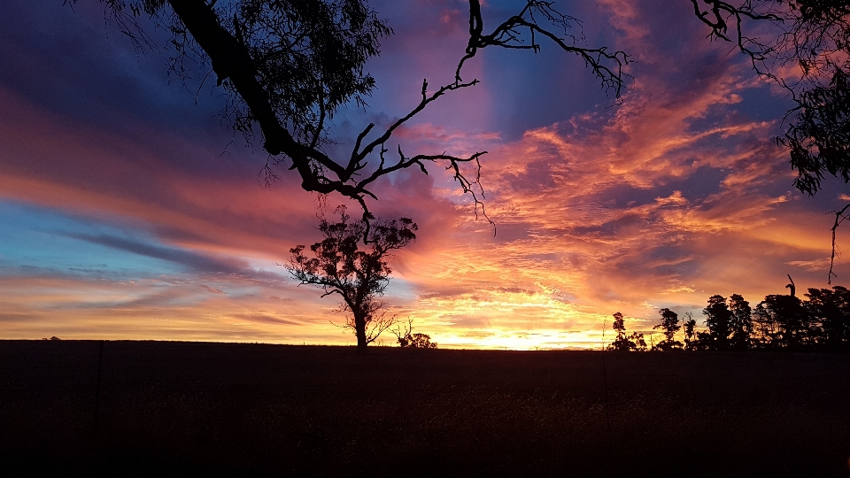 Sunrise country rural sky