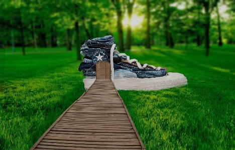 Converse shoes natural landscape nature Photo